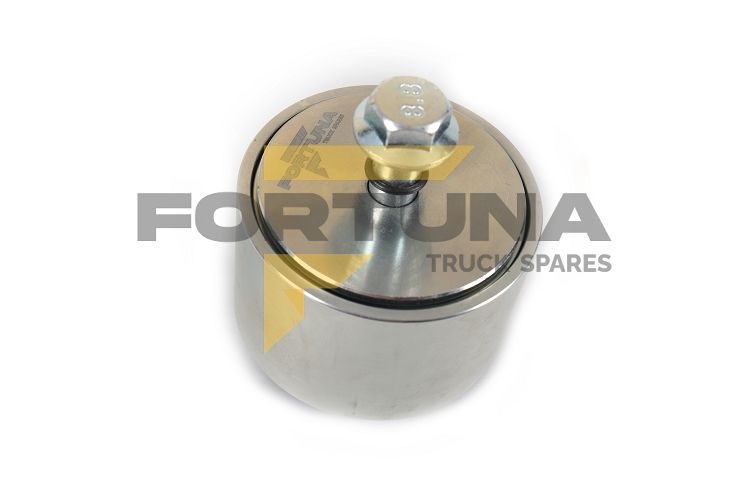 Imagem do produto TENSIONER PULLEY - Cód: FAP-11090